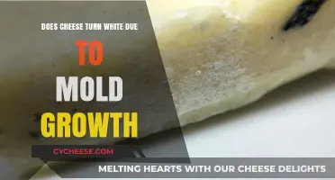 Is Your Cheese Turning White? Uncovering the Truth About Mold Growth