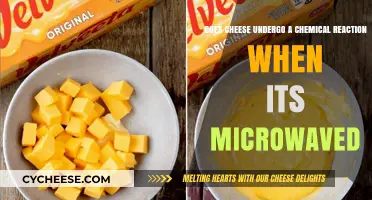 Microwaving Cheese: Uncovering the Chemical Reactions Behind the Melt
