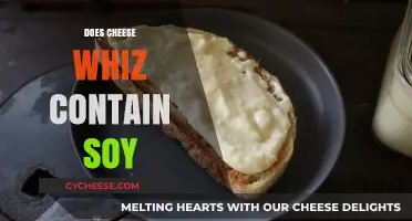 Does Cheese Whiz Contain Soy? Ingredients Breakdown and Allergy Concerns