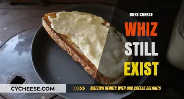 Is Cheese Whiz Still Around? Exploring the Iconic Cheese Spread's Status