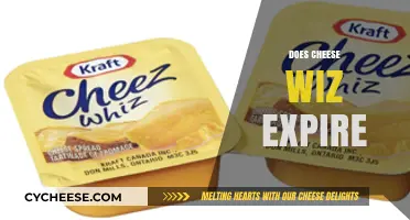 Does Cheese Whiz Expire? Shelf Life and Storage Tips Revealed