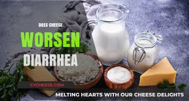 Cheese and Diarrhea: Does Dairy Worsen Digestive Distress?