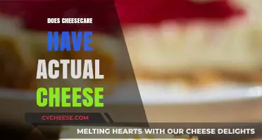 Does Cheesecake Contain Real Cheese? Unraveling the Creamy Mystery