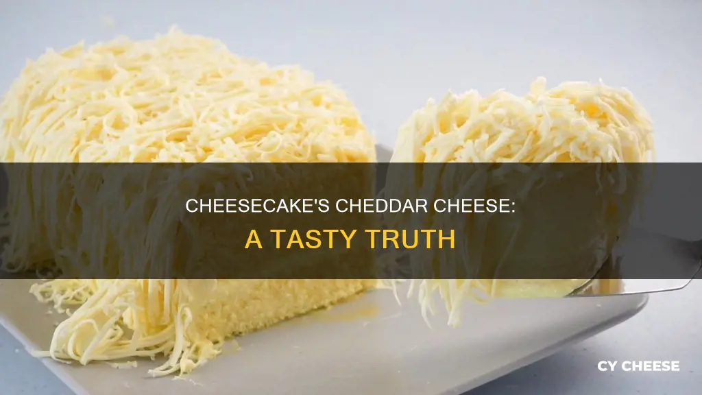 does cheesecake have cheddar cheese