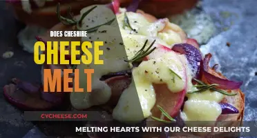 Cheshire Cheese Melting: The Ultimate Guide