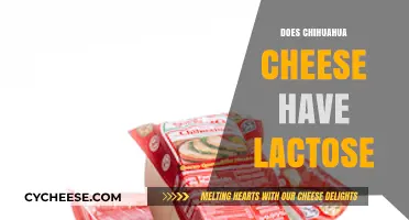 Chihuahua Cheese and Lactose: What You Need to Know