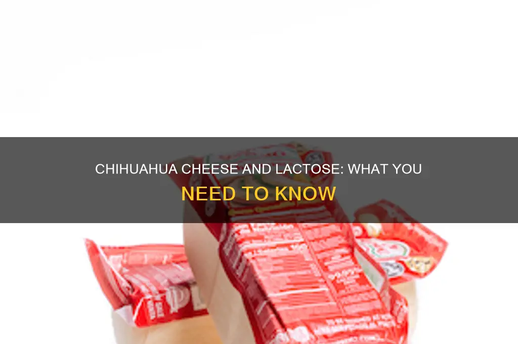 does chihuahua cheese have lactose