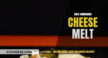 Chihuahua Cheese: Melting Mystery Solved