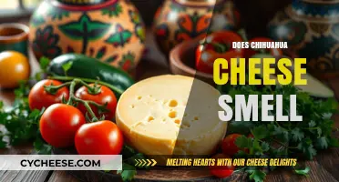 Does Chihuahua Cheese Smell? Uncovering the Truth About Its Aroma