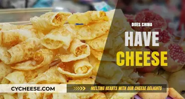 Exploring China's Culinary Scene: Does Cheese Exist in Chinese Cuisine?