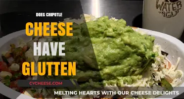 Is Chipotle Cheese Gluten-Free? A Complete Guide for Celiac Eaters