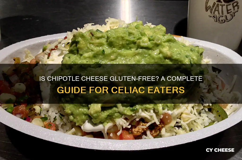 does chipotle cheese have glutten