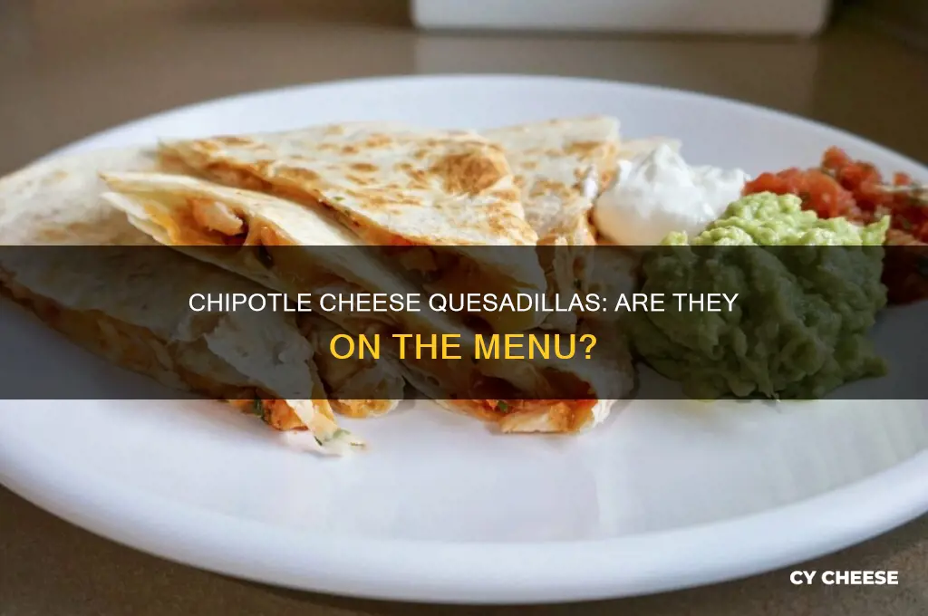 does chipotle have cheese quesadillas