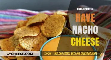 Does Chipotle Offer Nacho Cheese? Exploring the Menu Options