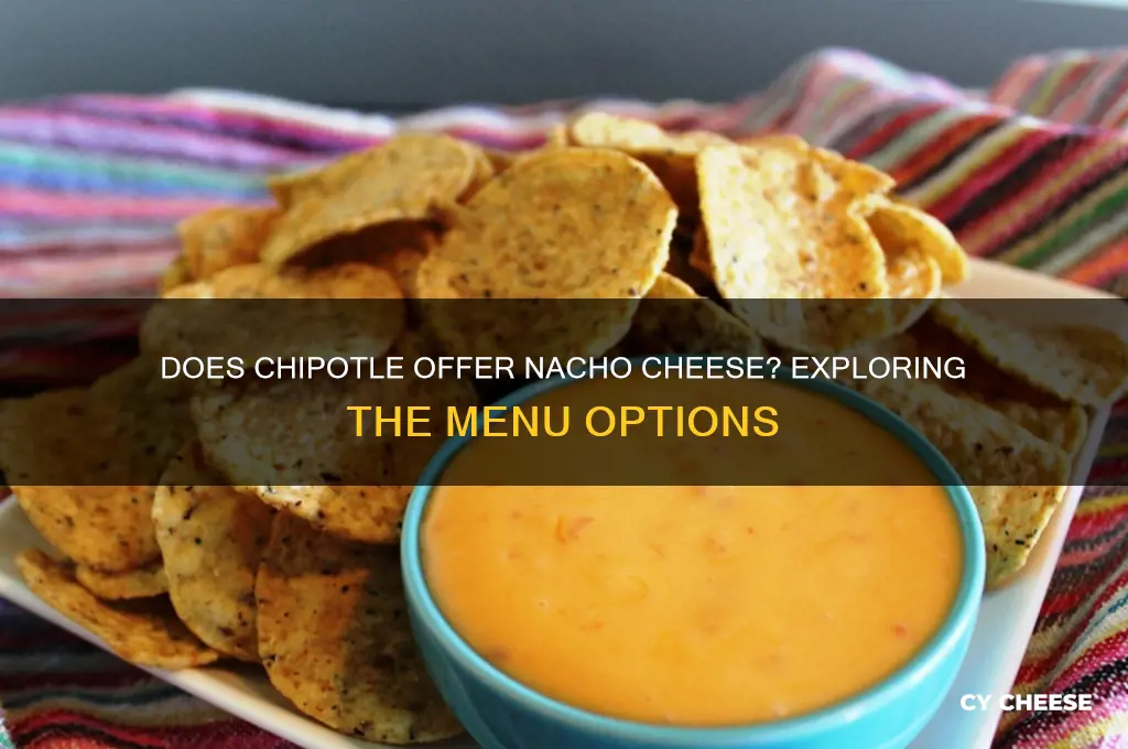 does chipotle have nacho cheese