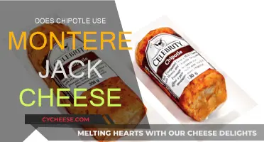 Chipotle's Cheese Choice: Monterey Jack?