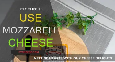 Chipotle's Cheese: Mozzarella or Not?