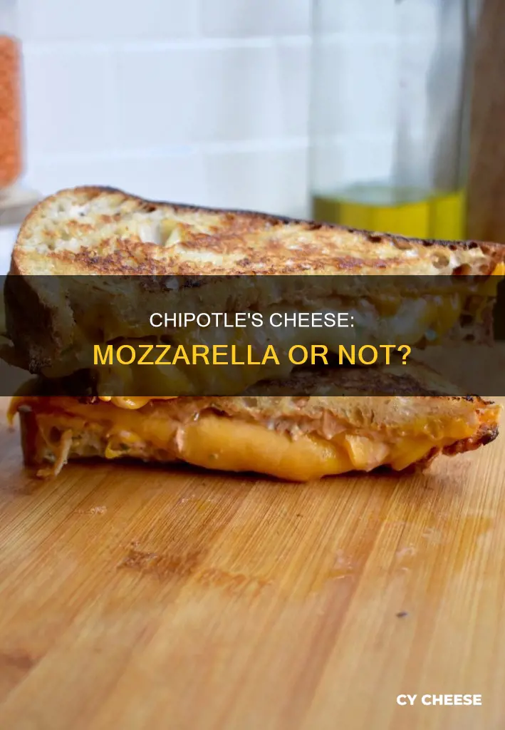 does chipotle use mozzarella cheese