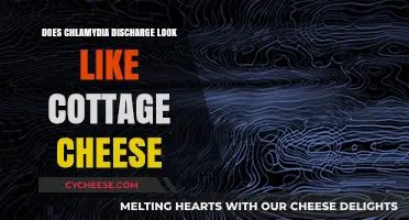 Chlamydia Discharge vs. Cottage Cheese: What's Normal and What's Not
