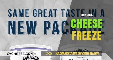 Can You Freeze Choa Cheese? A Complete Guide to Preservation