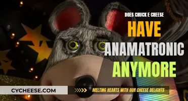 The Evolution of Chuck E. Cheese's Entertainment: Where Are the Animatronics?