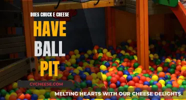 Chuck E. Cheese's Ball Pit: A Fun Experience for Kids