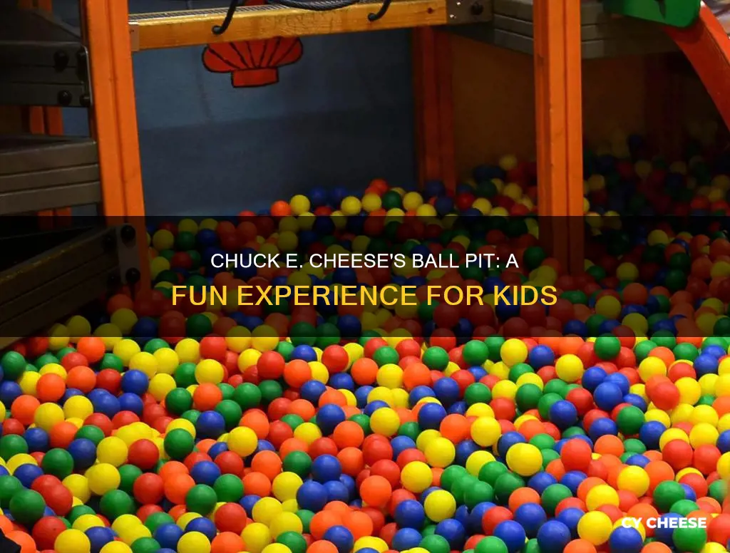 does chuck e cheese have ball pit