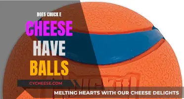 Chuck E. Cheese's Ball Pit: Fun or Unsanitary?