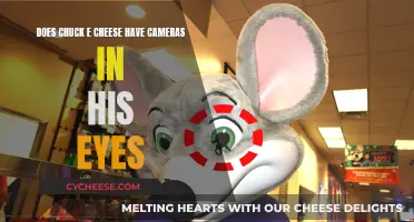 Chuck E. Cheese's Eyes: Cameras or Creative Design?