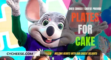 Chuck E. Cheese's Party Supplies: Plates for Cake?