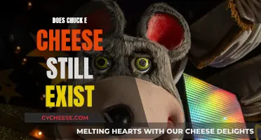 Chuck E. Cheese: Still Standing Strong Amidst the Changes