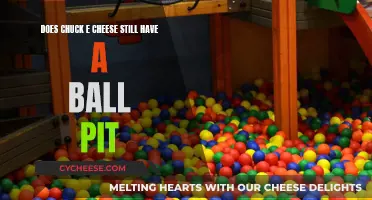 Chuck E. Cheese's Ball Pit: A Blast from the Past?