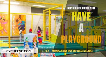 Chuck E. Cheese's Playgrounds: Still a Fun Attraction?