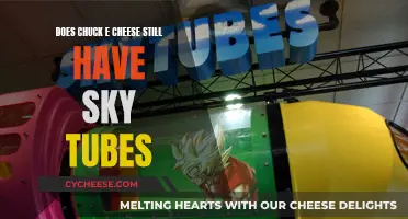 Chuck E. Cheese's Sky Tubes: A Blast from the Past?