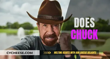 How Chuck Norris Became a Pop Culture Icon