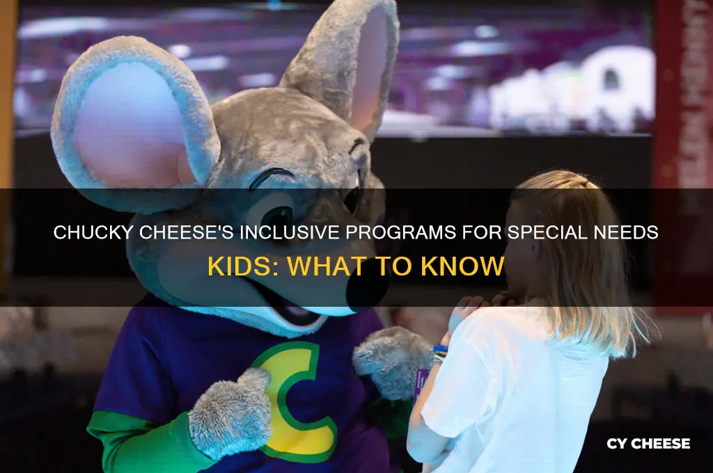 does chucky cheese hsve programs for special needs kuds
