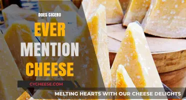 Cicero's Culinary References: Did He Ever Mention Cheese?