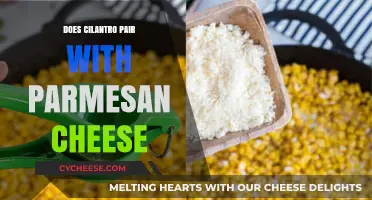 Cilantro and Parmesan: A Match Made in Heaven?