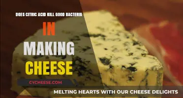 Citric Acid's Impact on Beneficial Bacteria in Cheese Making