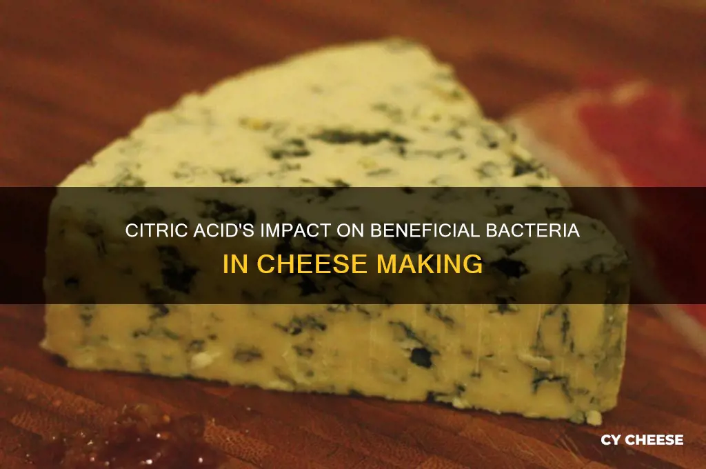 does citric acid kill good bacteria in making cheese