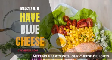 Cobb Salad: Blue Cheese, Yes or No?