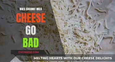 Coconut Milk Cheese: How Long Does it Last?