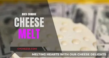 Cheese Melt Test: Coined Currency's Conundrum