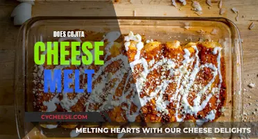 Cojita Cheese Melting: The Ultimate Guide