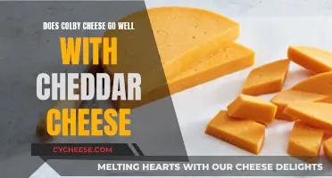 Colby vs. Cheddar: A Cheesy Harmony or Clash of Flavors?