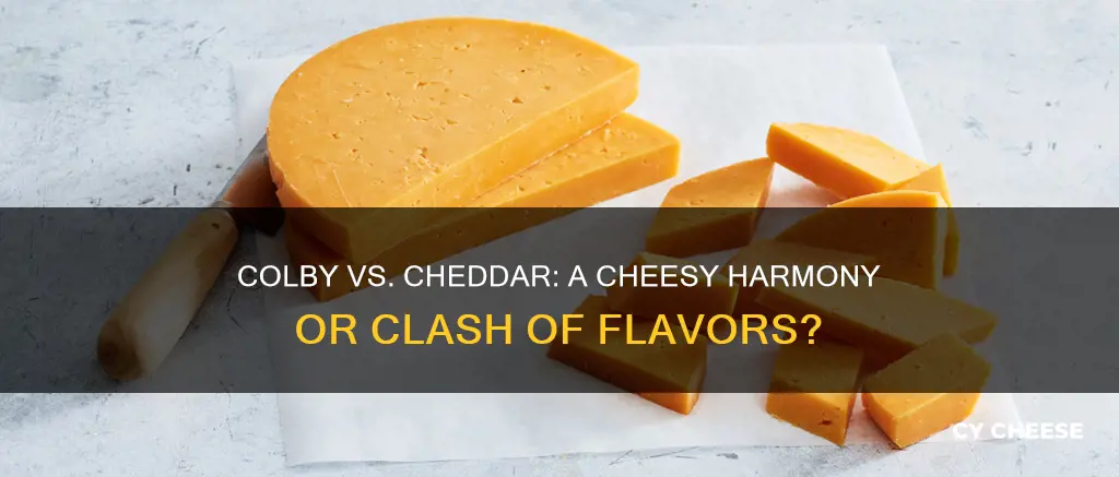 does colby cheese go well with cheddar cheese