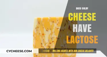 Does Colby Cheese Have Lactose? Uncovering the Truth for Cheese Lovers