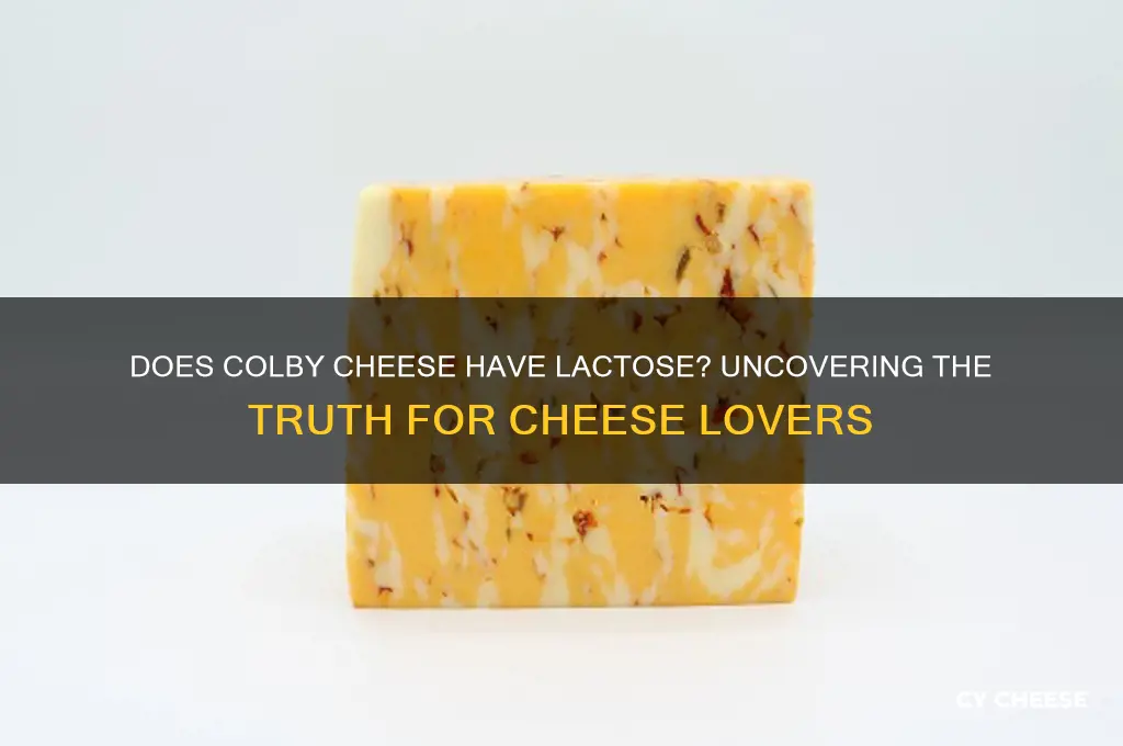 does colby cheese have lactose