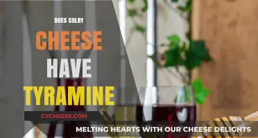 Does Colby Cheese Contain Tyramine? A Detailed Look at Its Composition