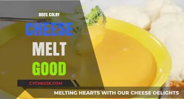 Does Colby Cheese Melt Well? A Cheesy Melting Guide